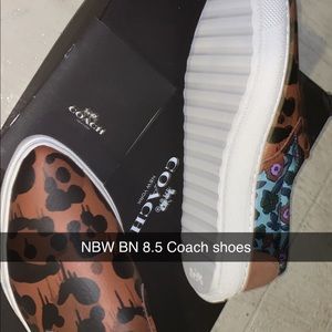 BN NBW Women’s coach 8.5